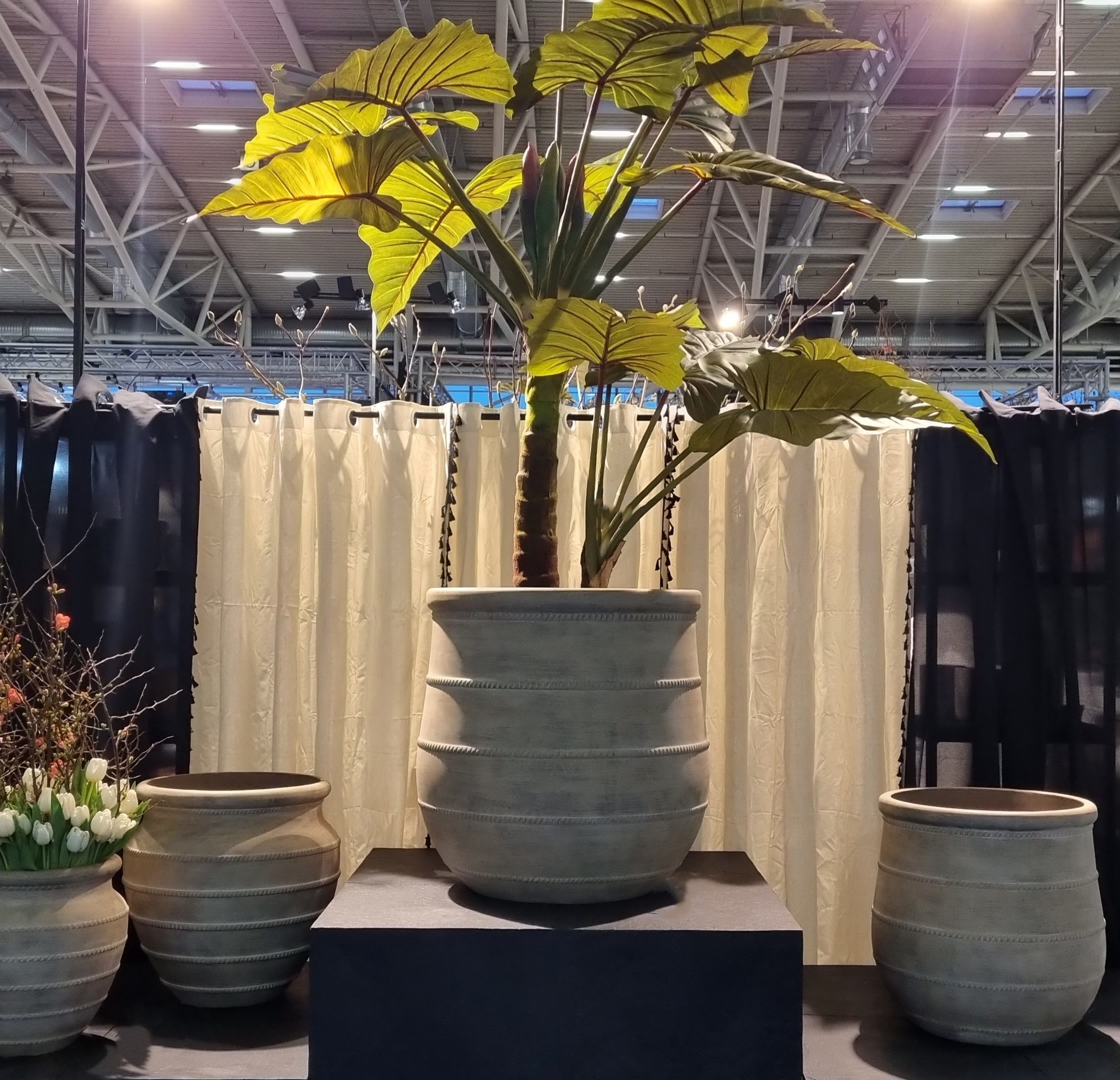 TrendSet Sommer 2024